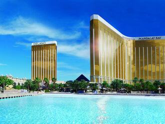Mandalay Hotel & Delano Las Vegas